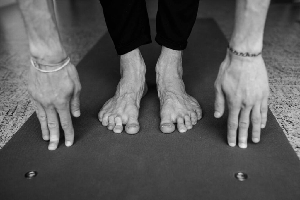 no-jumping workout
