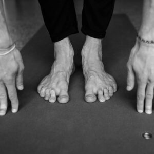 no-jumping workout