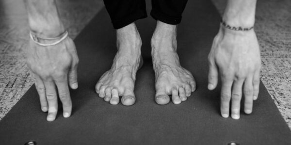 no-jumping workout